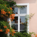 A window with flowers and vines growing around it  screen for extension Chrome web store in OffiDocs Chromium