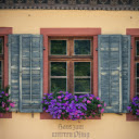 A window with purple flowers and shutters  screen for extension Chrome web store in OffiDocs Chromium