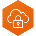 AWS VPN Companion  screen for extension Chrome web store in OffiDocs Chromium