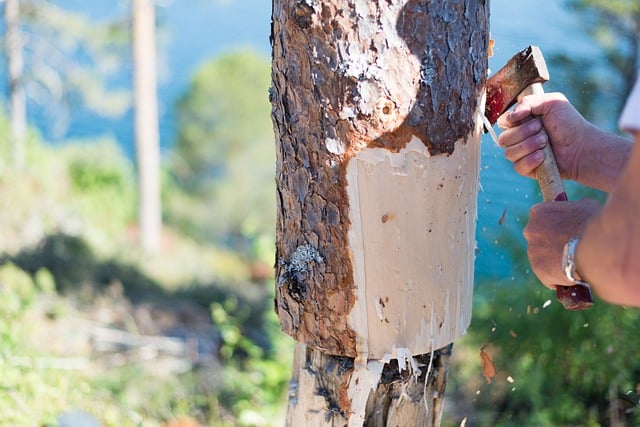 Free download axe bark construction country free picture to be edited with GIMP free online image editor