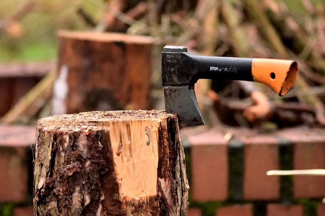 Free download axe lumberjack wood campfire log free picture to be edited with GIMP free online image editor
