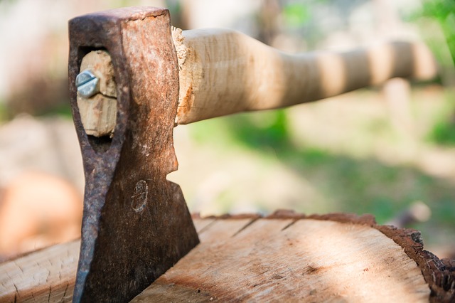Free download axe wood hack cases tree chopping free picture to be edited with GIMP free online image editor