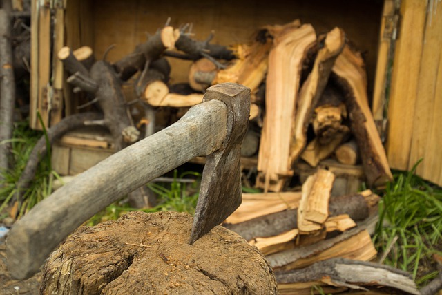 Free download ax firewood nature rest free picture to be edited with GIMP free online image editor
