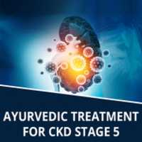 Free download Ayurvedic Treatment For CKD Stage 5 free photo or picture to be edited with GIMP online image editor