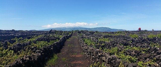 Descarga gratuita Azores Low Walls Vineyards - foto o imagen gratuita para editar con el editor de imágenes en línea GIMP