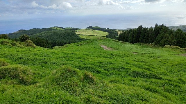 Descarga gratuita Azores Nature Green: foto o imagen gratuita para editar con el editor de imágenes en línea GIMP