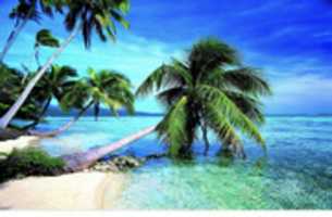 Free download B 18396 A 5 7 AC 5 437 B 9 B 31 F 157082575 BB free photo or picture to be edited with GIMP online image editor