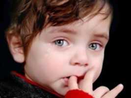 Free download Baby ( 1520) free photo or picture to be edited with GIMP online image editor
