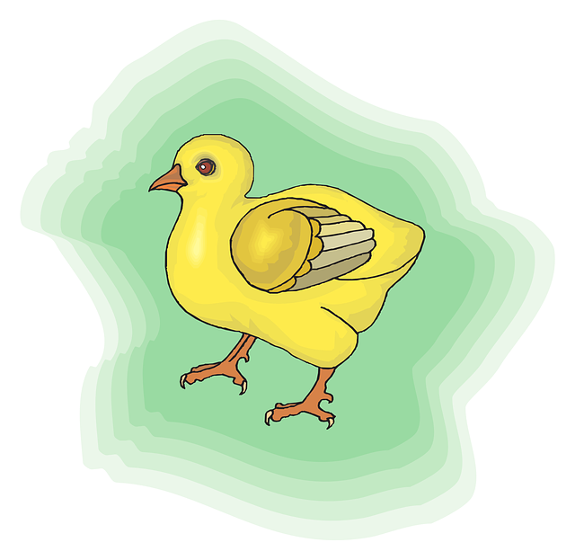 Free download Baby Bird Yellow - Free vector graphic on Pixabay free illustration to be edited with GIMP free online image editor