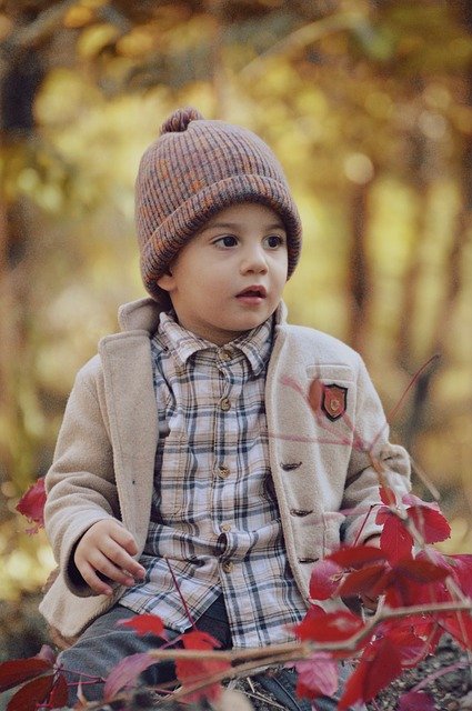 Unduh gratis Baby Boy Cute - foto atau gambar gratis untuk diedit dengan editor gambar online GIMP