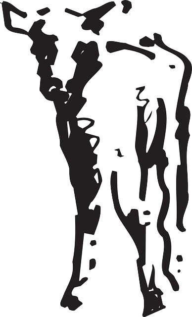 Free download Baby Standing Animal - Free vector graphic on Pixabay free illustration to be edited with GIMP free online image editor
