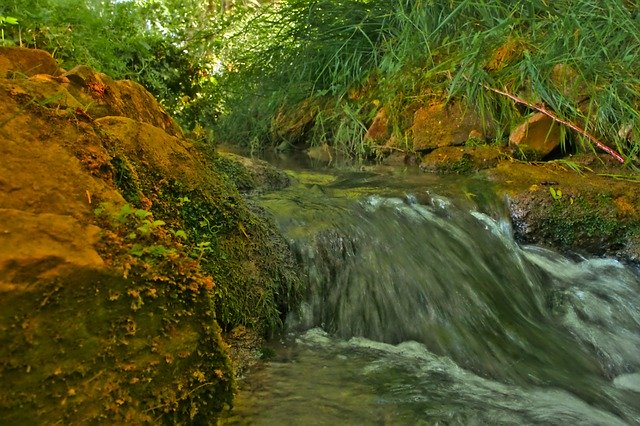 Download gratuito Bach Creek Water - foto o immagine gratis da modificare con l'editor di immagini online di GIMP