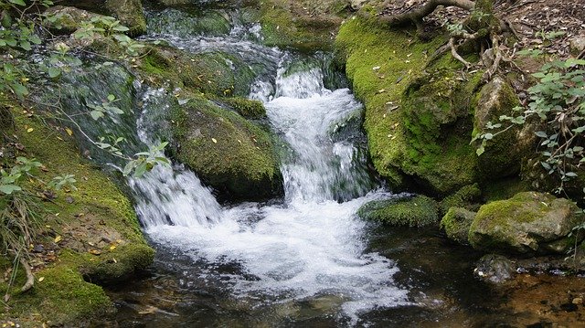 Descărcare gratuită Bach France Water - fotografie sau imagini gratuite pentru a fi editate cu editorul de imagini online GIMP