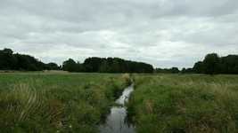 Free download Bach Moor Brook Meadow -  free video to be edited with OpenShot online video editor