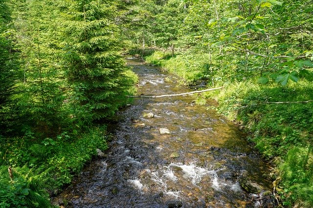 Безкоштовно завантажте Bach River Source Forest - безкоштовне фото або зображення для редагування в онлайн-редакторі зображень GIMP