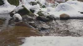 Free download Bach Snow Winter -  free video to be edited with OpenShot online video editor