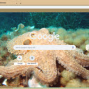 Bach tuoc  screen for extension Chrome web store in OffiDocs Chromium