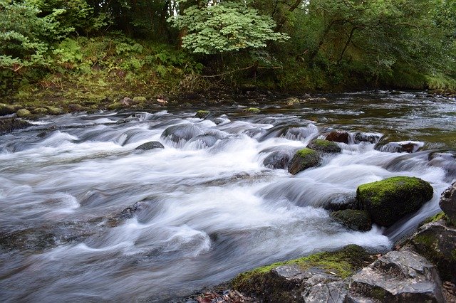 Gratis download Bach Water Nature gratis fotosjabloon om te bewerken met GIMP online afbeeldingseditor