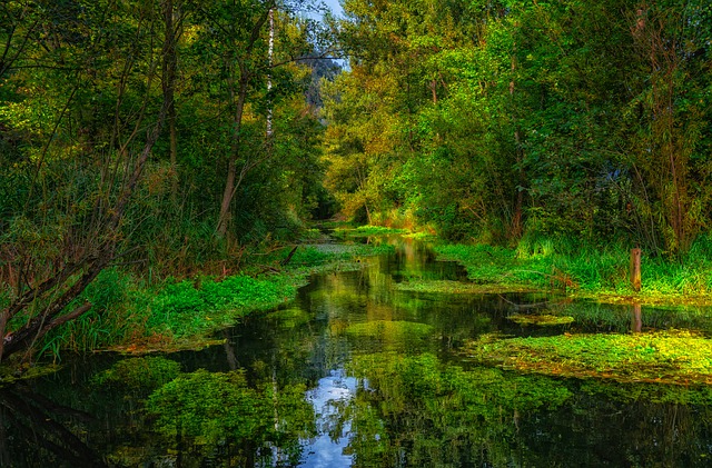 Free download bach water ouch landscape stream free picture to be edited with GIMP free online image editor