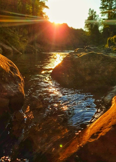 Bezpłatne pobieranie Bach Water Sun - bezpłatne zdjęcie lub obraz do edycji za pomocą internetowego edytora obrazów GIMP