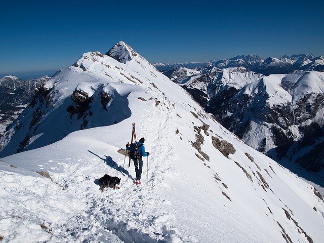 Free download Backcountry Skiiing Dog Mountains -  free photo or picture to be edited with GIMP online image editor