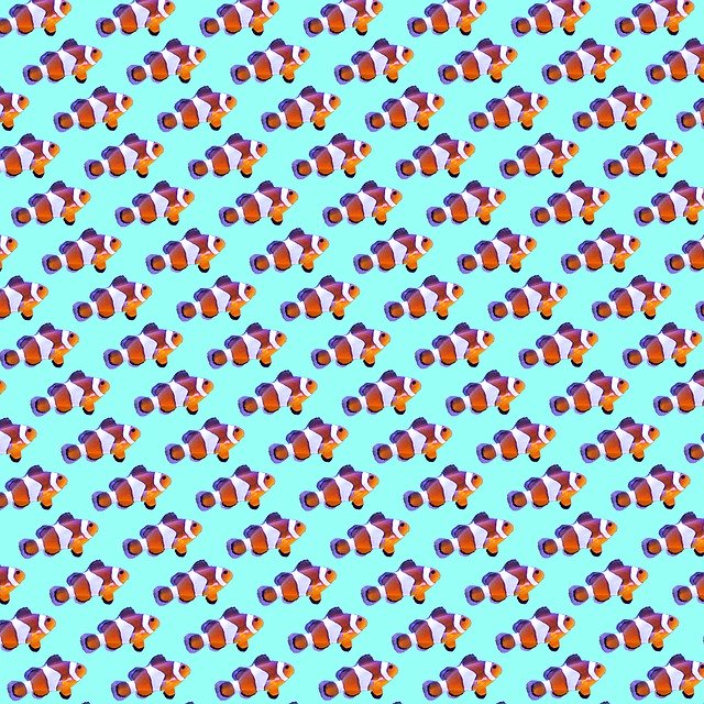 Free download Background Clownfish Tropical -  free illustration to be edited with GIMP free online image editor