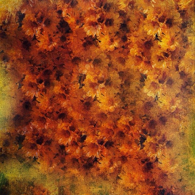 تنزيل مجاني Background Flowers Orange - رسم توضيحي مجاني ليتم تحريره باستخدام محرر الصور المجاني على الإنترنت من GIMP