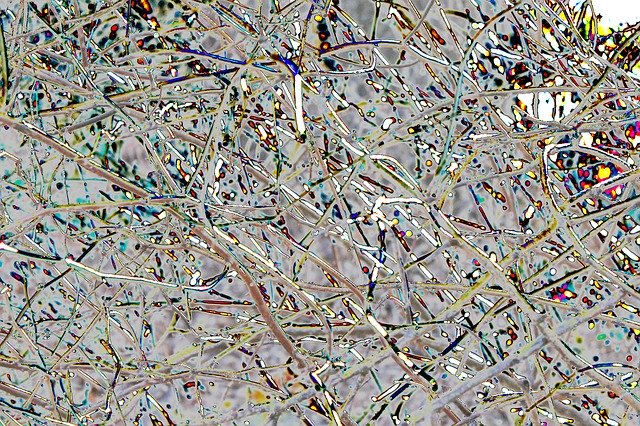 Free download Background Texture Digital Art -  free illustration to be edited with GIMP free online image editor
