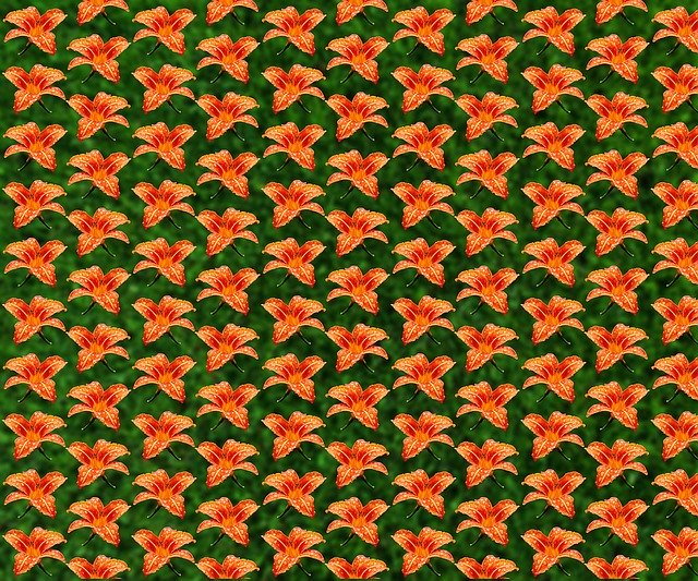 Free download Background Wallpaper Flowers -  free illustration to be edited with GIMP free online image editor