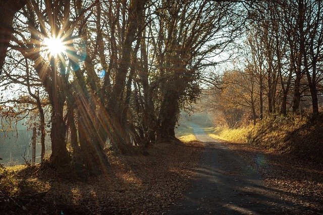 Free download Backlight Landscape Sunrise -  free photo or picture to be edited with GIMP online image editor