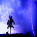 Backyard Lightning ABP 6  screen for extension Chrome web store in OffiDocs Chromium