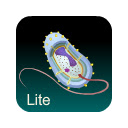 Bacteria Guide Lite  screen for extension Chrome web store in OffiDocs Chromium