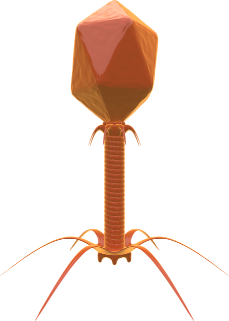 Free download Bacteriophage Virus Bacteria -  free illustration to be edited with GIMP free online image editor