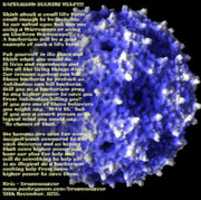 Free download bacterium4 free photo or picture to be edited with GIMP online image editor