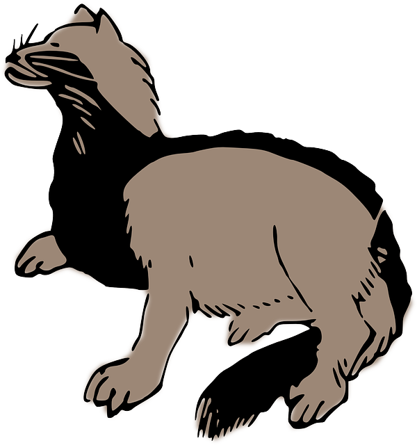 Free download Badger Animal Gray - Free vector graphic on Pixabay free illustration to be edited with GIMP free online image editor