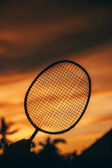 जीआईएमपी मुफ्त ऑनलाइन छवि संपादक के साथ संपादित करने के लिए बैडमिंटन खेल सूर्यास्त आकाश की मुफ्त तस्वीर मुफ्त डाउनलोड करें