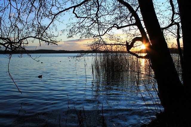 Free download Bad Segeberg Lake Water -  free photo or picture to be edited with GIMP online image editor