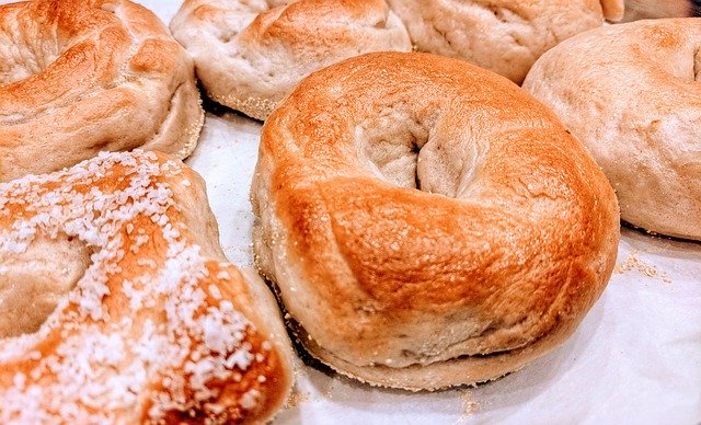 Free download Bagels Plain Bagel Salt -  free photo or picture to be edited with GIMP online image editor