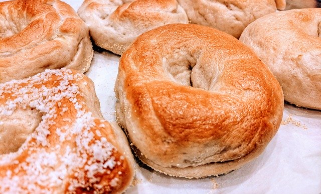 Unduh gratis Bagel Plain Bagel Salt - foto atau gambar gratis untuk diedit dengan editor gambar online GIMP