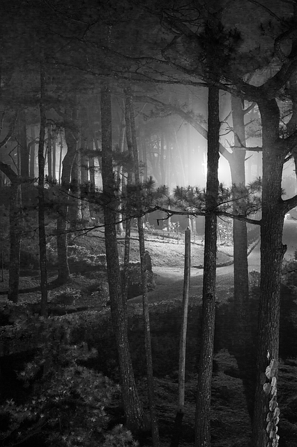 Free download Baguio Philippines Night -  free illustration to be edited with GIMP free online image editor