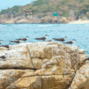 Bai Bien Doi – The Unique Twin Beach of Nha Trang  screen for extension Chrome web store in OffiDocs Chromium