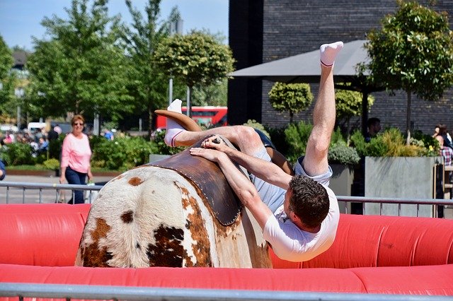 ดาวน์โหลดฟรี Balance Bull Falling - ภาพถ่ายหรือรูปภาพฟรีที่จะแก้ไขด้วยโปรแกรมแก้ไขรูปภาพออนไลน์ GIMP