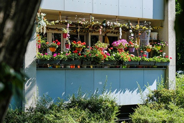 دانلود رایگان Balcony Flower Box Summer - عکس یا تصویر رایگان قابل ویرایش با ویرایشگر تصویر آنلاین GIMP