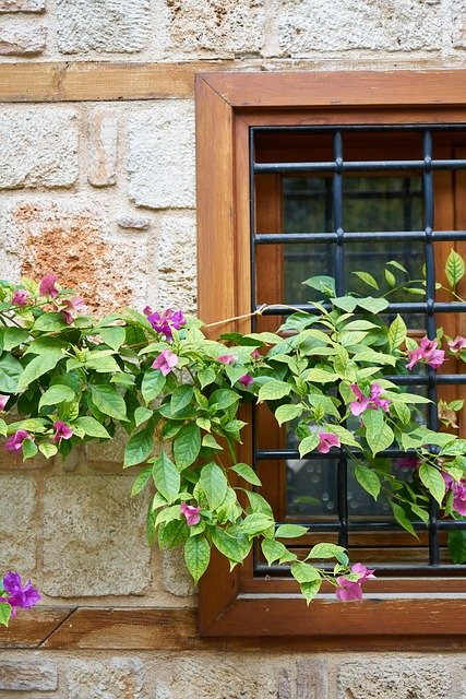 Téléchargement gratuit de Pot de Fleurs de Fenêtre de Balcon - photo ou image gratuite à modifier avec l'éditeur d'images en ligne GIMP