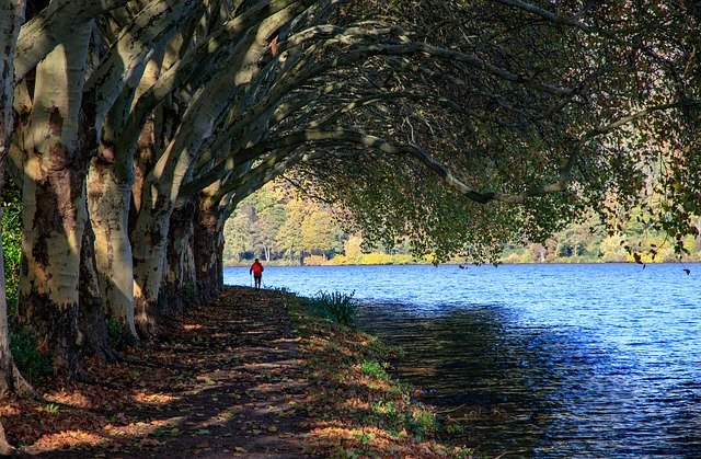 免费下载 Baldeneysee Eat Lake - 使用 GIMP 在线图像编辑器编辑的免费照片或图片