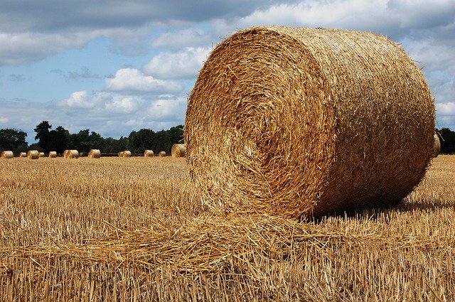 Téléchargement gratuit de Bales Of Hay Field Agriculture - photo ou image gratuite à éditer avec l'éditeur d'images en ligne GIMP