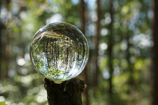 ดาวน์โหลดฟรี Ball Macro Landscape - ภาพถ่ายหรือรูปภาพฟรีที่จะแก้ไขด้วยโปรแกรมแก้ไขรูปภาพออนไลน์ GIMP