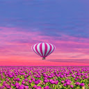 Balloon and tulip wallpaper  screen for extension Chrome web store in OffiDocs Chromium