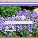 Balloon Flower  screen for extension Chrome web store in OffiDocs Chromium