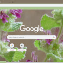 Ballota  screen for extension Chrome web store in OffiDocs Chromium
